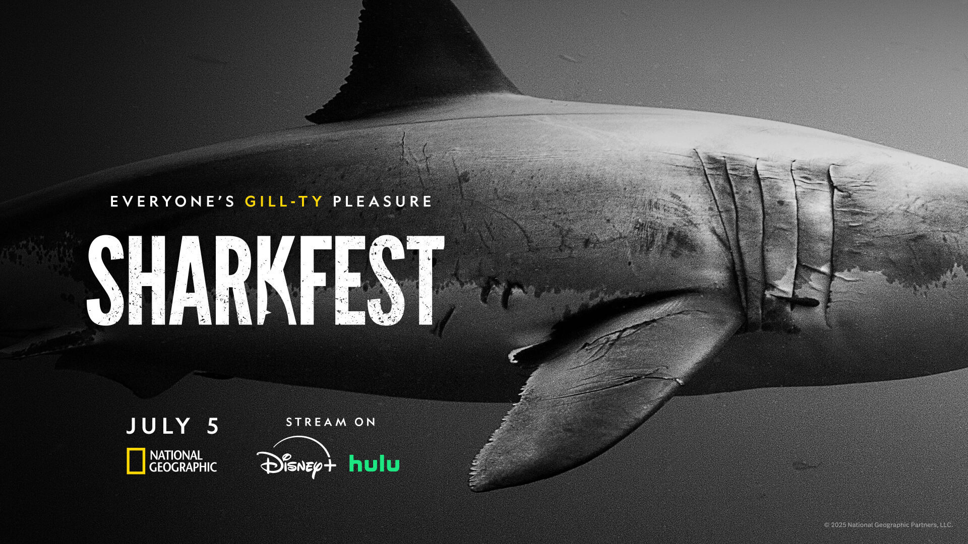 Sharkfest 2025